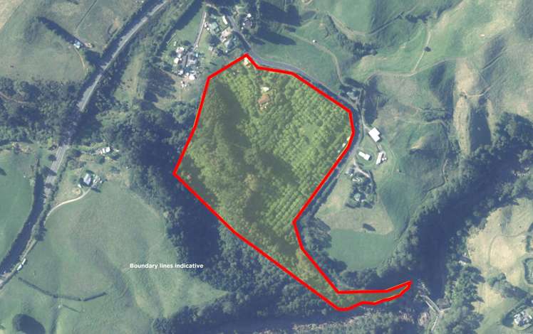 20 McLaren Falls Road Lower Kaimai_21