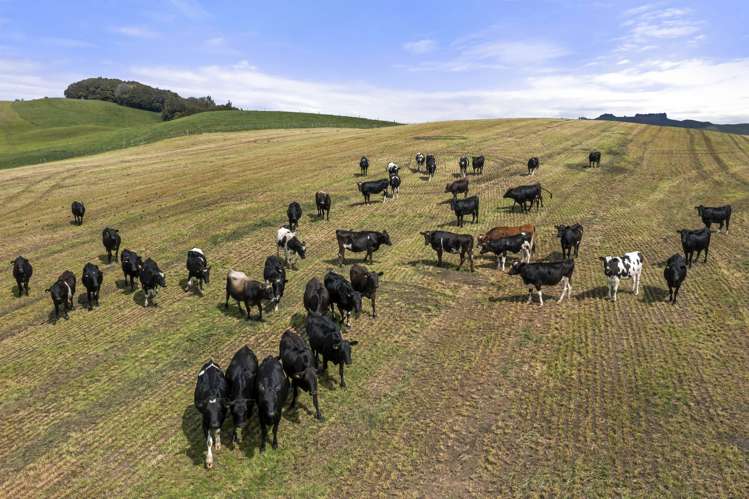 160a Tate Road Te Kuiti_9