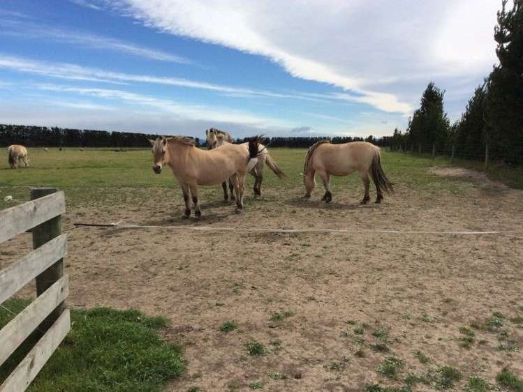 782 Miles Road Kirwee_16