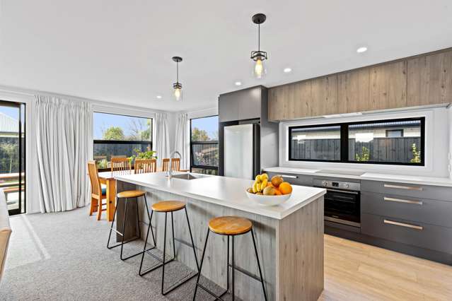 18 Marliece Street Rolleston_1