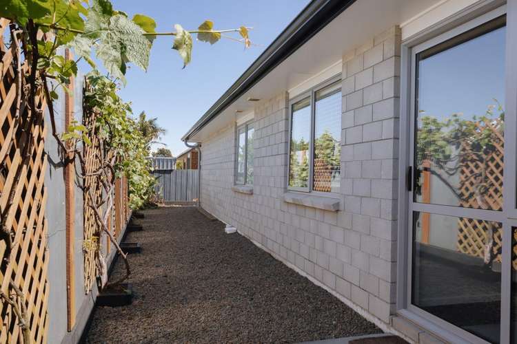 254B Waihi Road Judea_20