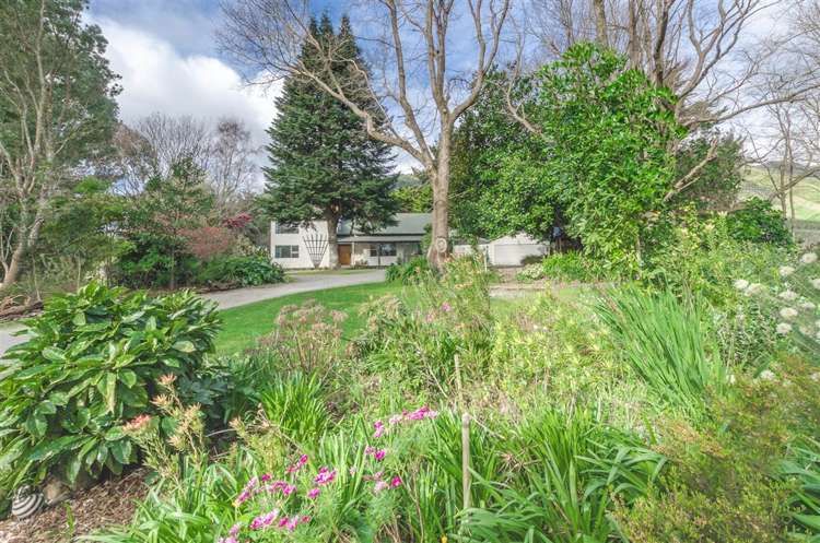 32 Peka Peka Road Peka Peka_17