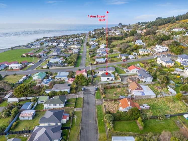 1 Ann Street Bluff_28