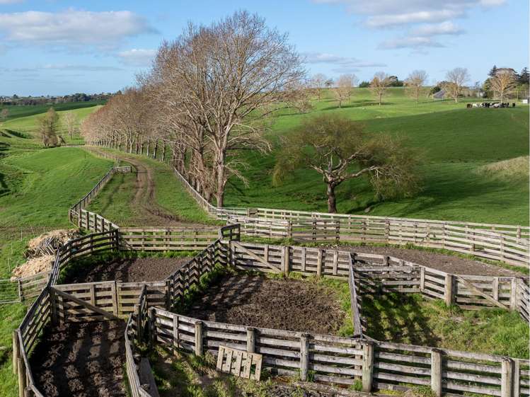 819 Waikokowai Road Ruawaro_17