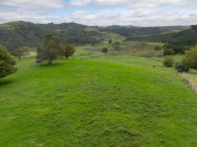 2/1745 Arapuni Road Te Awamutu_2