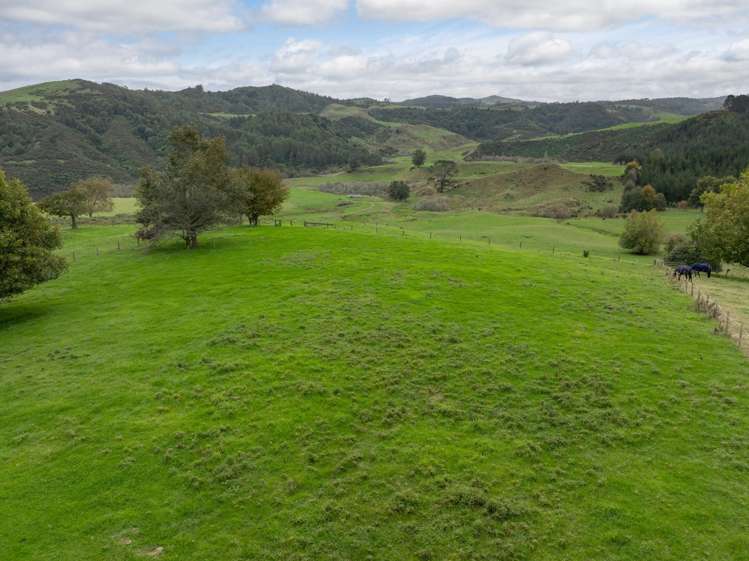 2/1745 Arapuni Road Te Awamutu_2