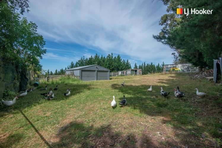 197 Mcintosh Road Brighton_21