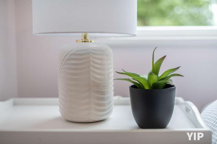 9 Birch Street Johnsonville_14