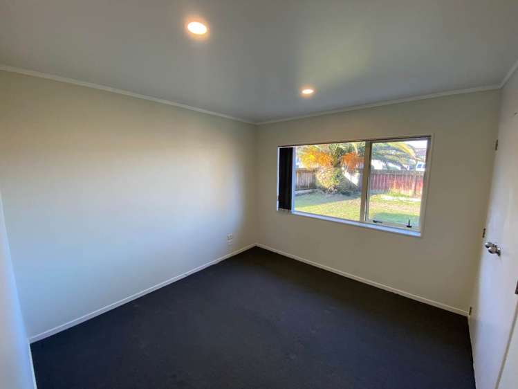 66 Robert Skelton Place Clendon Park_4