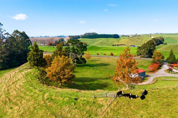 Lot 2/50 Whangamata Road Kinloch_11
