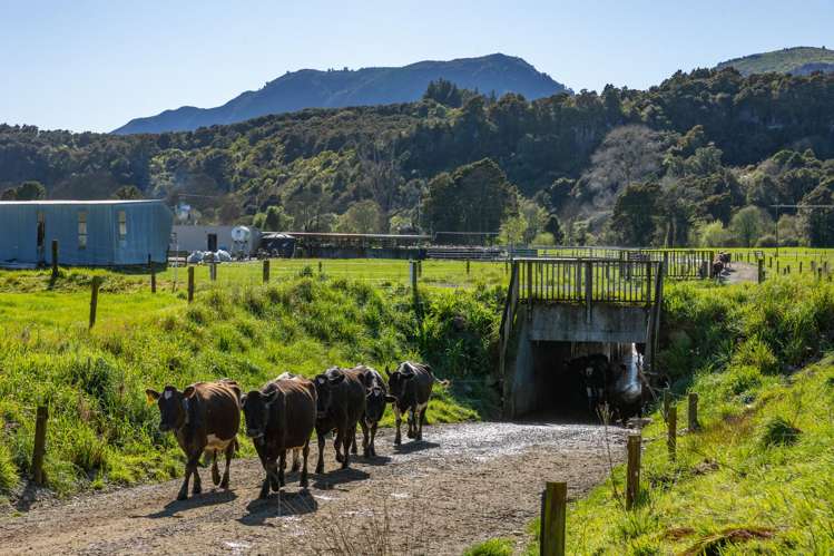 1707-1780 Takaka Valley Highway East Takaka_7