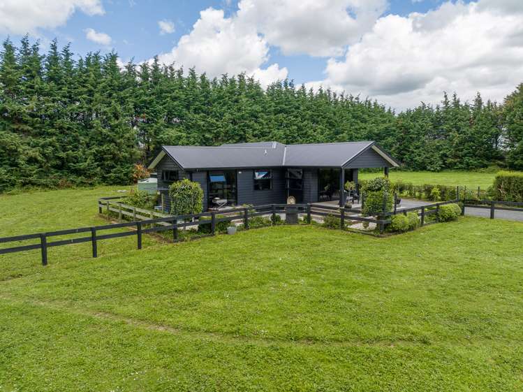 191 Hautapu Road Pukemoremore_13