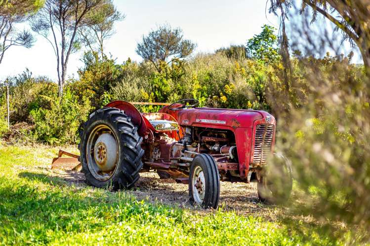 80 Southernthread Road Brooklyn_26