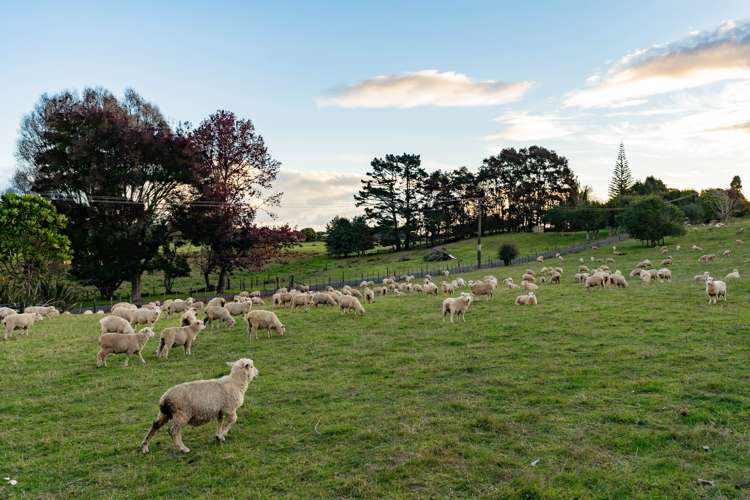 144 Church Road Kamo_19