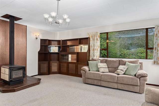 294 River Road Kawerau_1