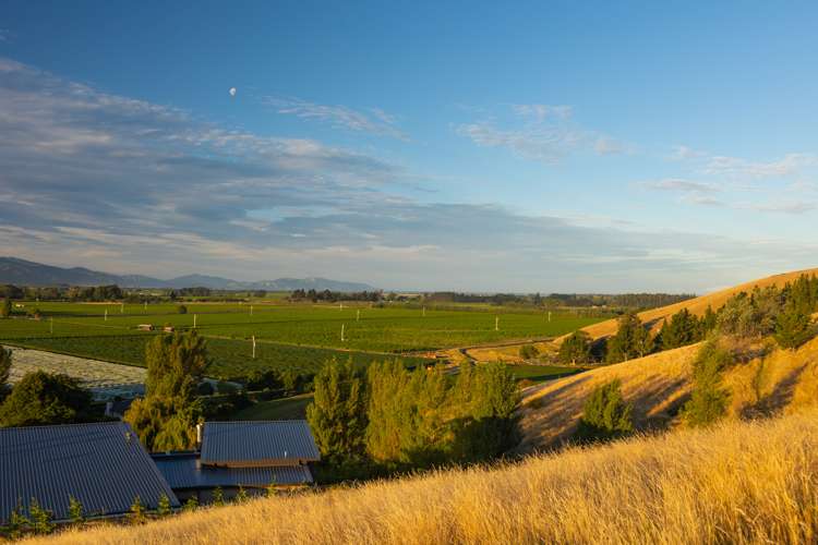 166 Dry Hills Lane Riverlands_7