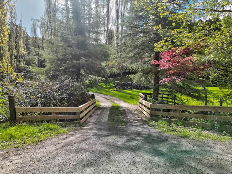 665 Longacre Road Okoia_20