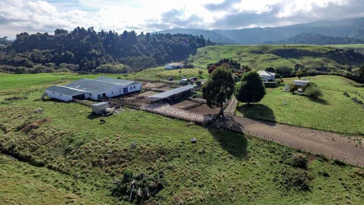 60 Bullians Road Owhango_11