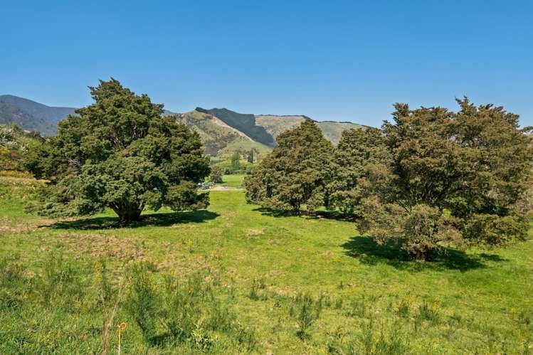 30 Twidles Road Havelock_14