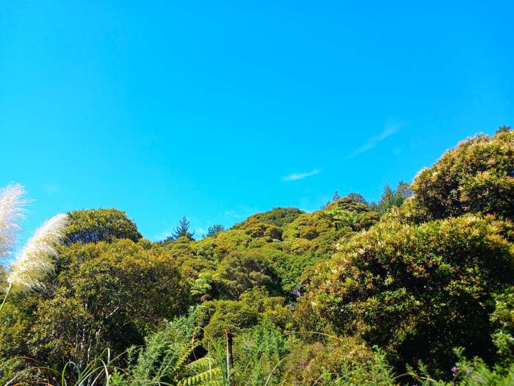 Te Karoa Road Peria_20