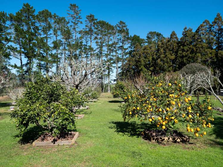 223A Ness Road Kerikeri_30