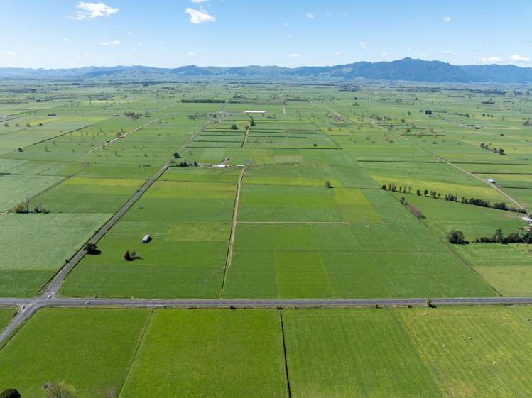 64 No 4 Road Morrinsville_23