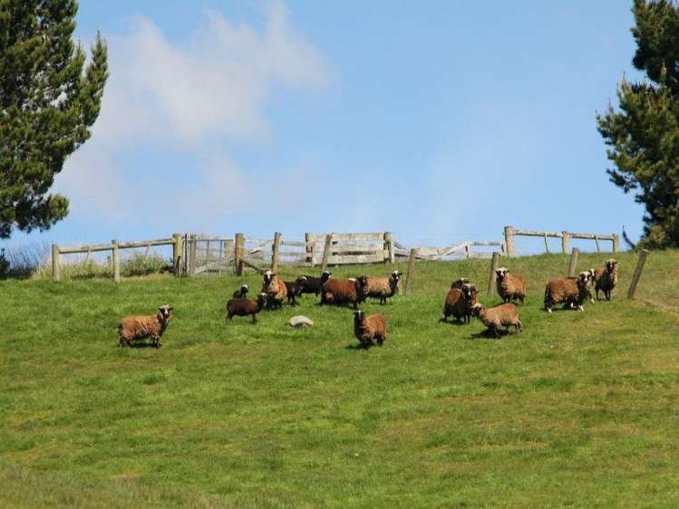 231k Ramparts Road Te Anau_15