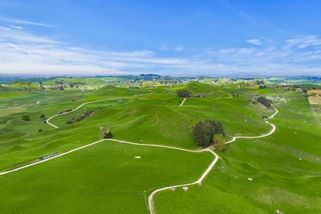 310 Paparamu Road Piarere_4