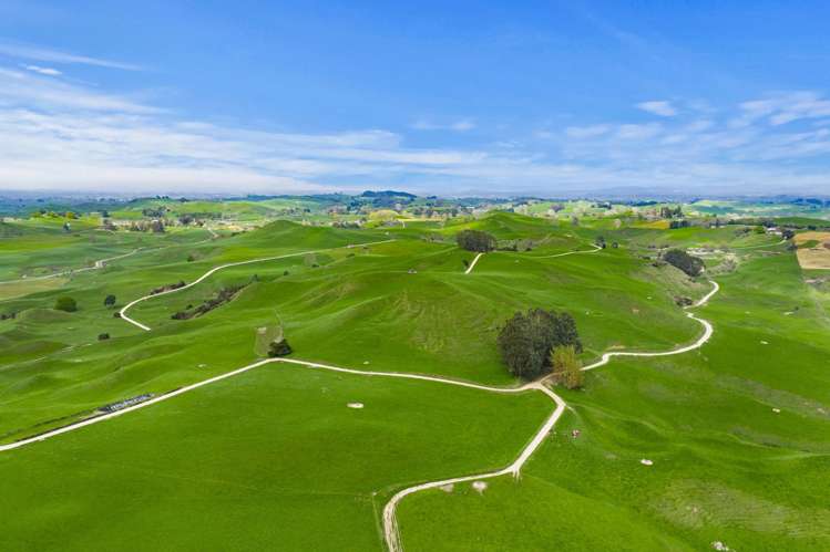 310 Paparamu Road Piarere_4