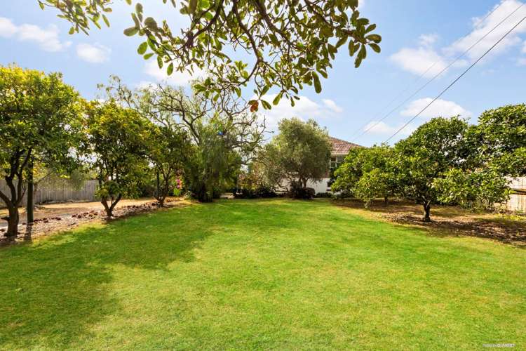 52 Sturges Road Henderson_17