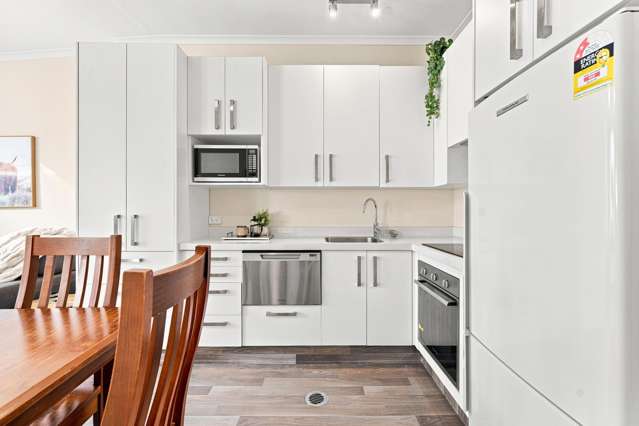 237C Moray Place Dunedin Central_4