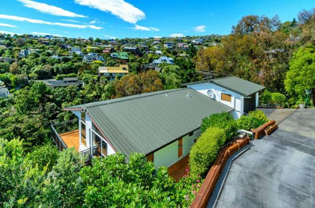 107 Mt Pleasant Road Mount Pleasant_3