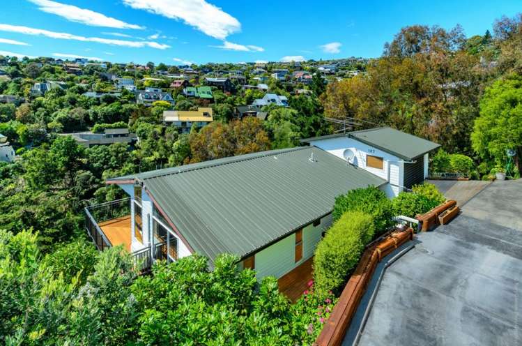 107 Mt Pleasant Road Mount Pleasant_3