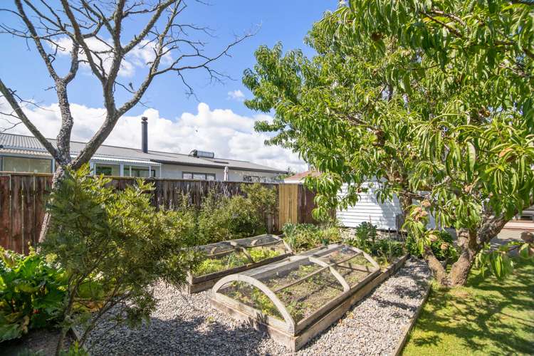 56 Green Street Tahunanui_20