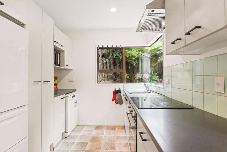 1B Springfield Road Springfield_4