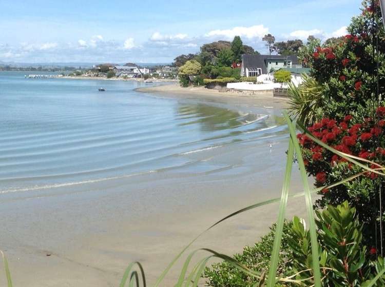 33 Martin Street Monaco_13