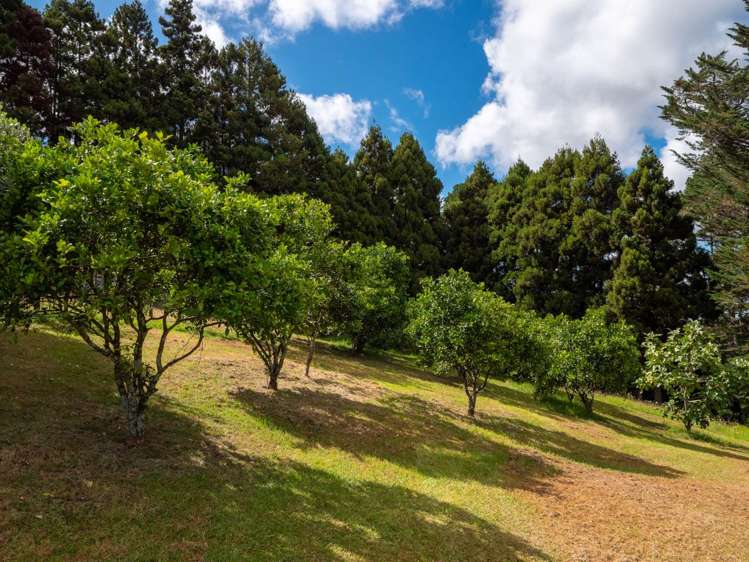 28 Cottle Hill Drive Kerikeri_12