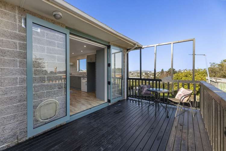 23A Hood Street Wakari_15