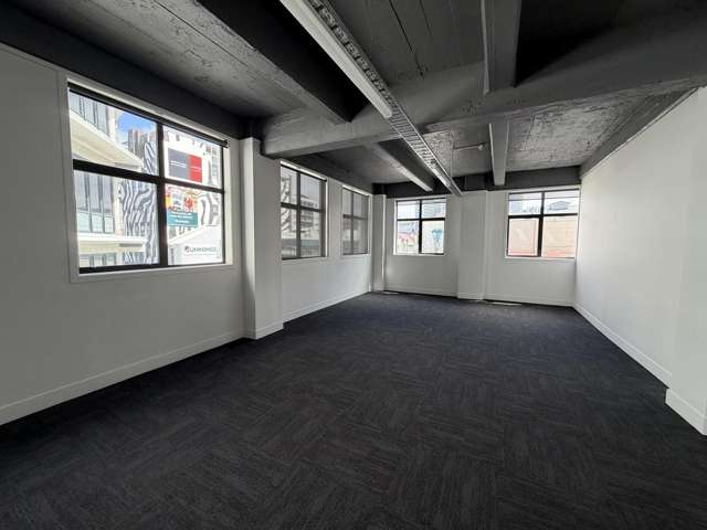 Level 2/45 Tory Street Te Aro_1