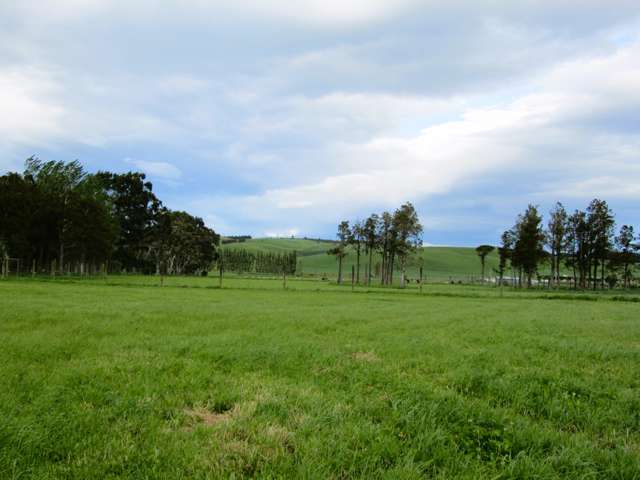 Winton Bare Land/Building Block - 2.5575ha