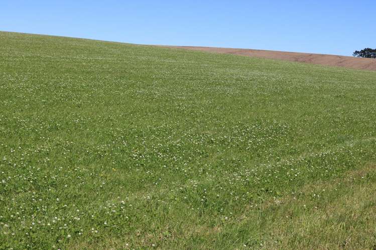 878 Downs Road Edendale_17