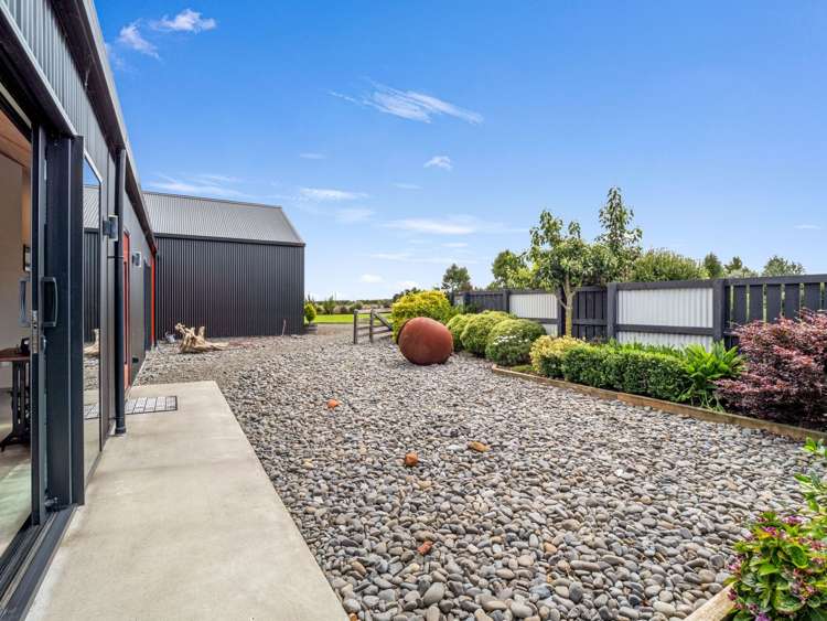 1228A Camerons Line Feilding_26