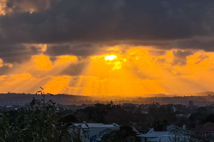 1 Cedar Road Epsom_36