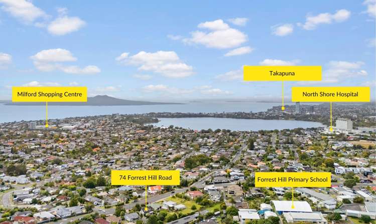 74 Forrest Hill Road Forrest Hill_17