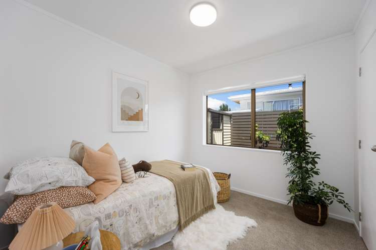 24A Manly Park Avenue Manly_12