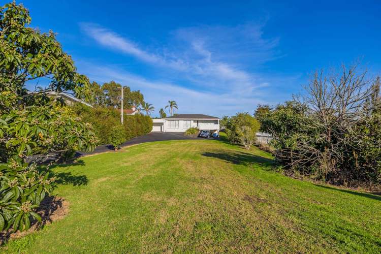 174 Albany Highway Greenhithe_14