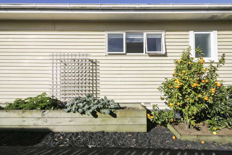 57 Kings Road Panmure_17