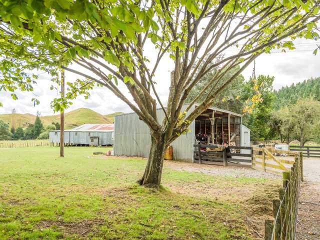 582 Ongo Road Hunterville_4