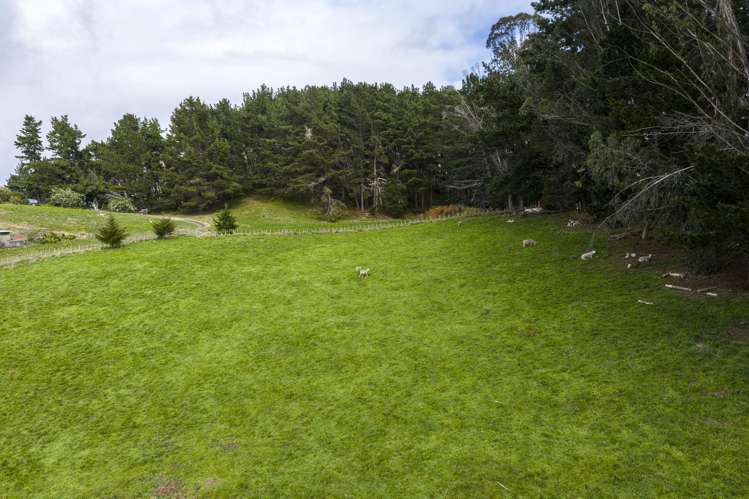 97 Waikareao Road Central Hawkes Bay Coastal_27