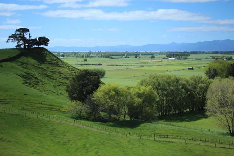 399 Mahuta Road Mangatarata_8